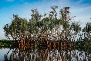 Vientos de cambio climático una larga lucha contra el desplazamiento en el Caribe