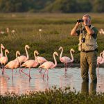 eBird-10-mayo-1