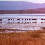 juanma-clemente-alloza-B_2lTzGRo7c-unsplash