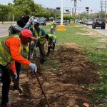 Alcalde Manuel Ferreira optimiza el sistema de riego en la Av. Camejo Octavio (3)