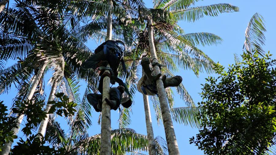 practicasisitidaasai