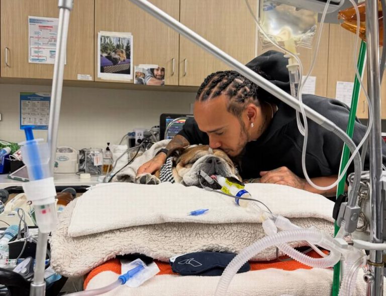 Please keep Roscoe in your thoughts. I want to keep you all updated. Roscoe caught pneumonia aga