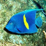 pp Image 2025-11-18 at 9.50.30 AM