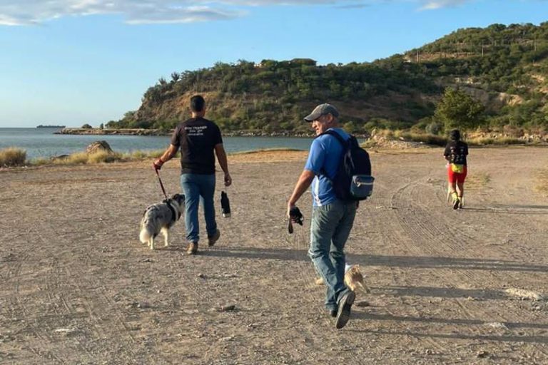 pp Image 2025-11-24 at 9.45.18 AM