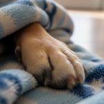 pp Image 2025-12-12 at 7.55.41 PM