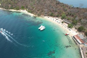 pp Image 2025-12-19 at 9.09.23 AM