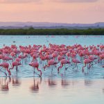 pp Image 2026-01-10 at 5.24.52 PM