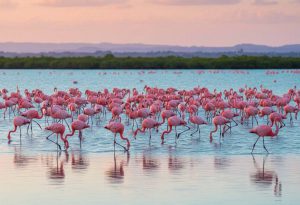 pp Image 2026-01-10 at 5.24.52 PM