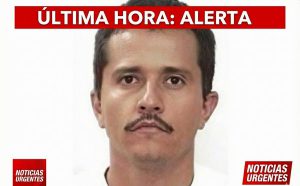 CONFIRMA EL ABATIMIENTO