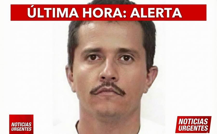 CONFIRMA EL ABATIMIENTO