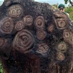 PETROGLIFOS EN MONAGASEl 30 de enero de 2026, en un hecho extraordinario para historia regional (3)