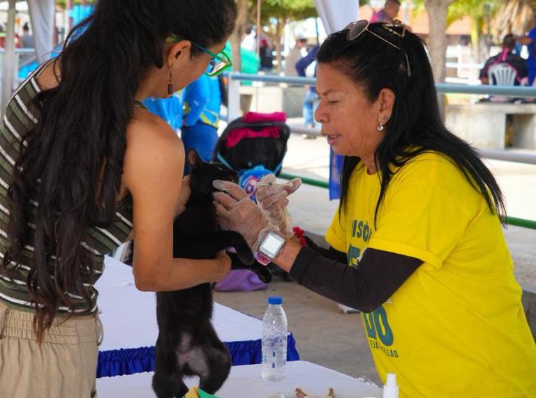 pp Image 2026-02-08 at 7.15.05 PM