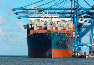 pp Image 2026-02-10 at 9.25.33 PM