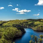 21 de marzo Un llamado urgente a la accion por la salud de nuestros bosque4