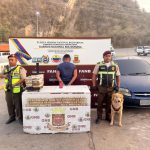 pp Image 2026-03-07 at 1.35.32 PM