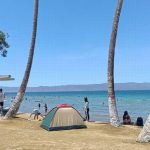 pp Image 2026-04-03 at 4.34.06 PM